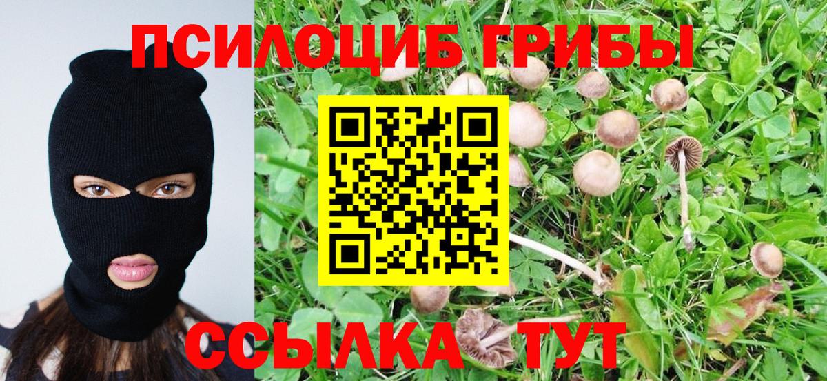 Мариинск  Галлюциногенные грибы Psilocybe  Вход с VPN 