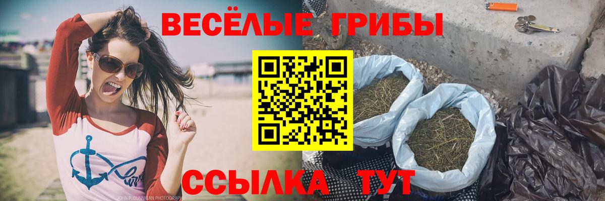 Галлюциногенные грибы Magic Shrooms Мариинск